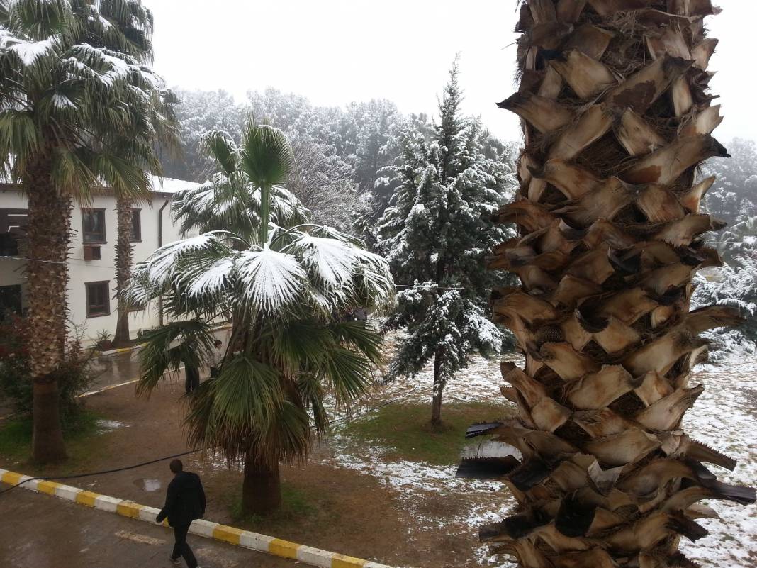 Akçakale Koruklu  Köyü Resimleri 2