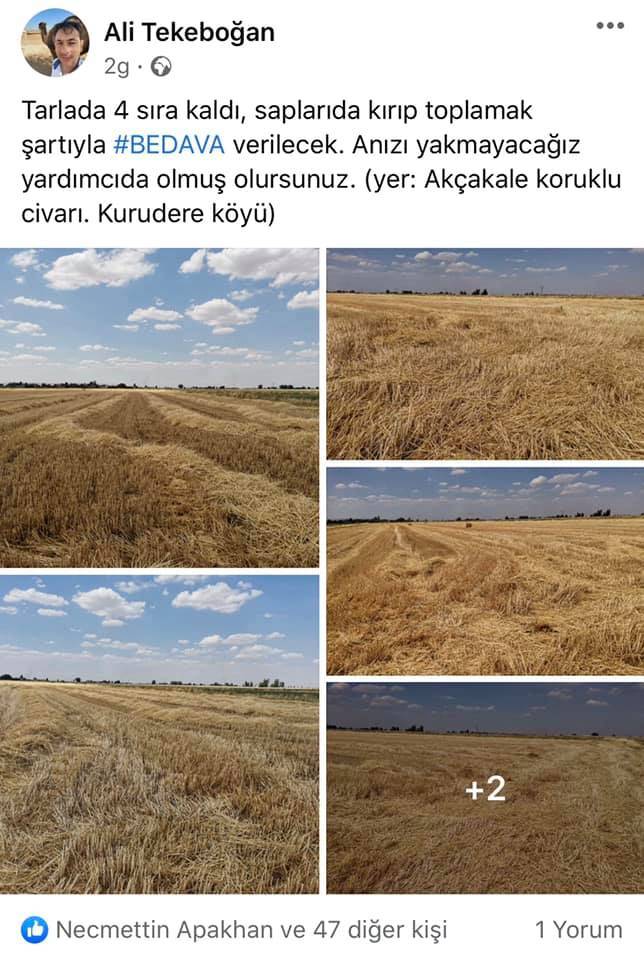 Akçakale Koruklu  Köyü Resimleri 6