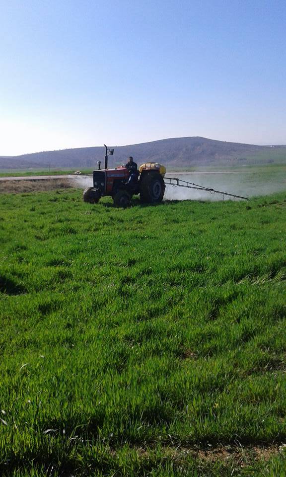 Akçakale Narlıova Köyü Resimleri 1