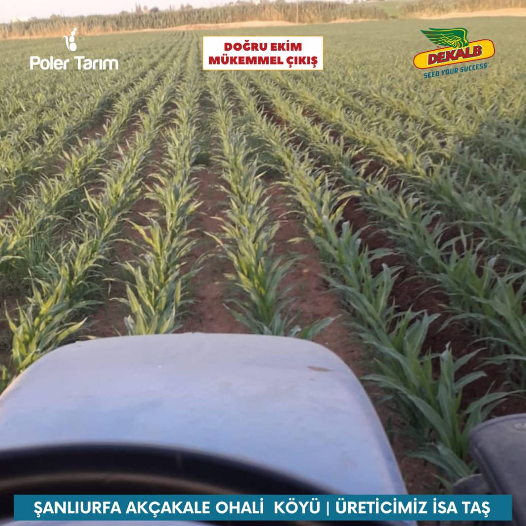 Akçakale Ohali Köyü Resimleri 4