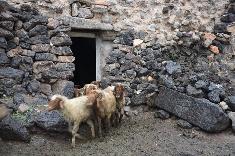 Kızıltepe Büyükayrık Köyü Resimleri 2