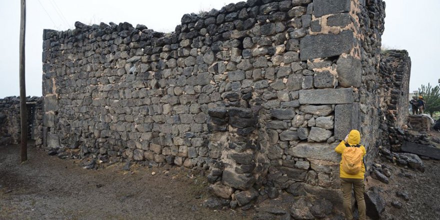 Kızıltepe Büyükayrık Köyü Resimleri