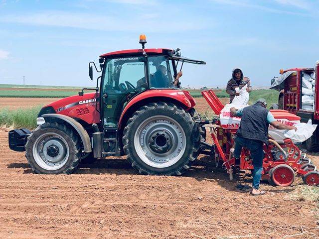 Akçakale Şehitnusretbey Köyü Resimleri 2