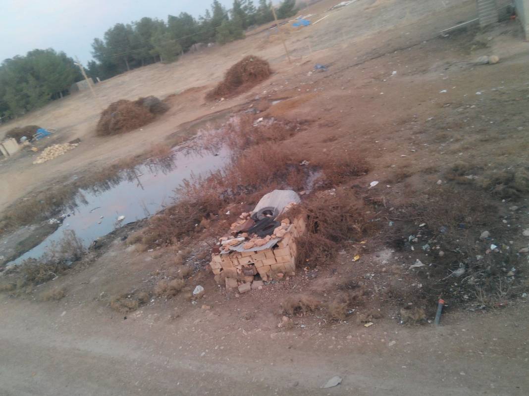 Akçakale Tatlıca Köyü Resimleri 1