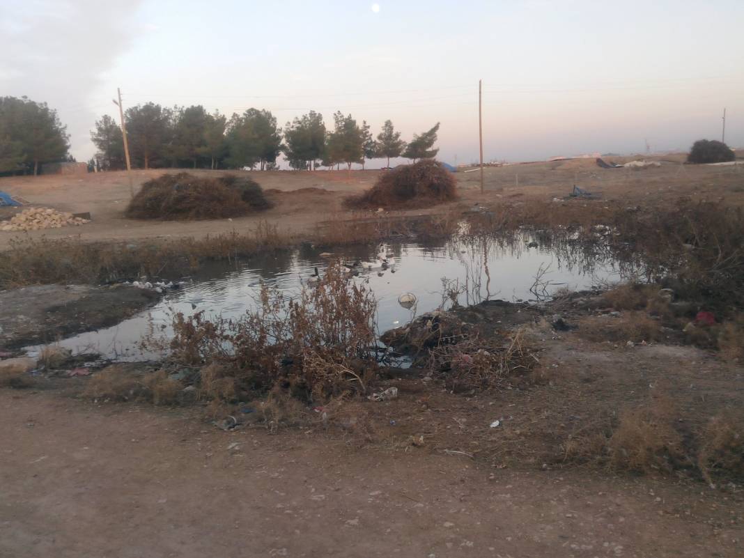 Akçakale Tatlıca Köyü Resimleri 2