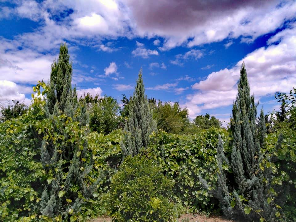 Akçakale Topçu Köyü Resimleri 3