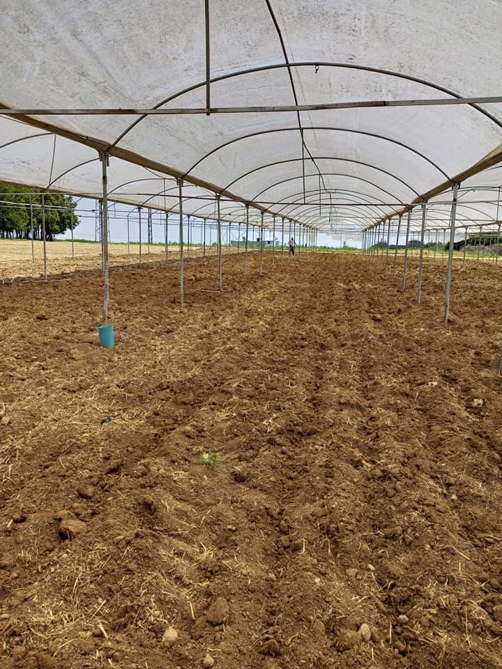 Akçakale Vize  Köyü Resimleri 4