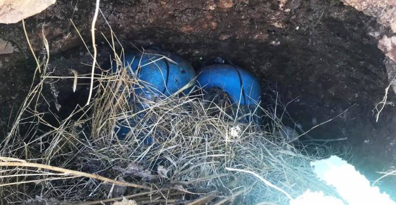 Akçakale Yağmuralan Köyü Resimleri 2