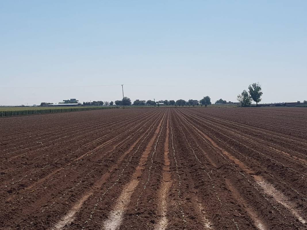 Akçakale Yazlıca Köyü Resimleri 2