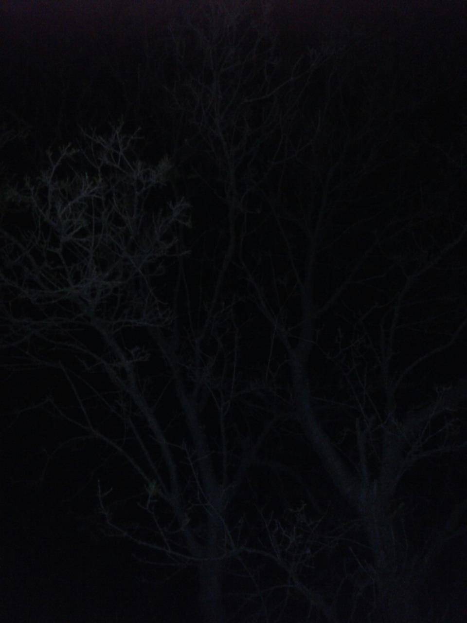 Akçakale Yukarıbeğdeş Köyü Resimleri 1