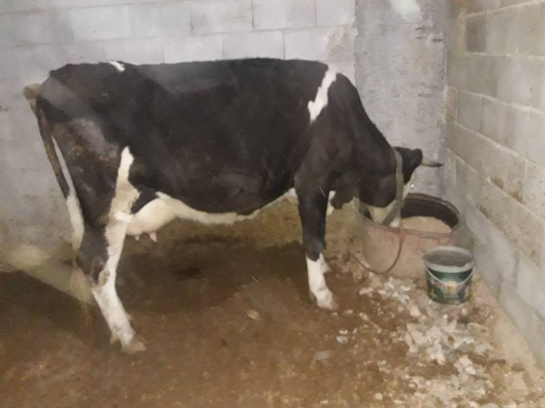 Birecik Almaşar Köyü Resimleri 2
