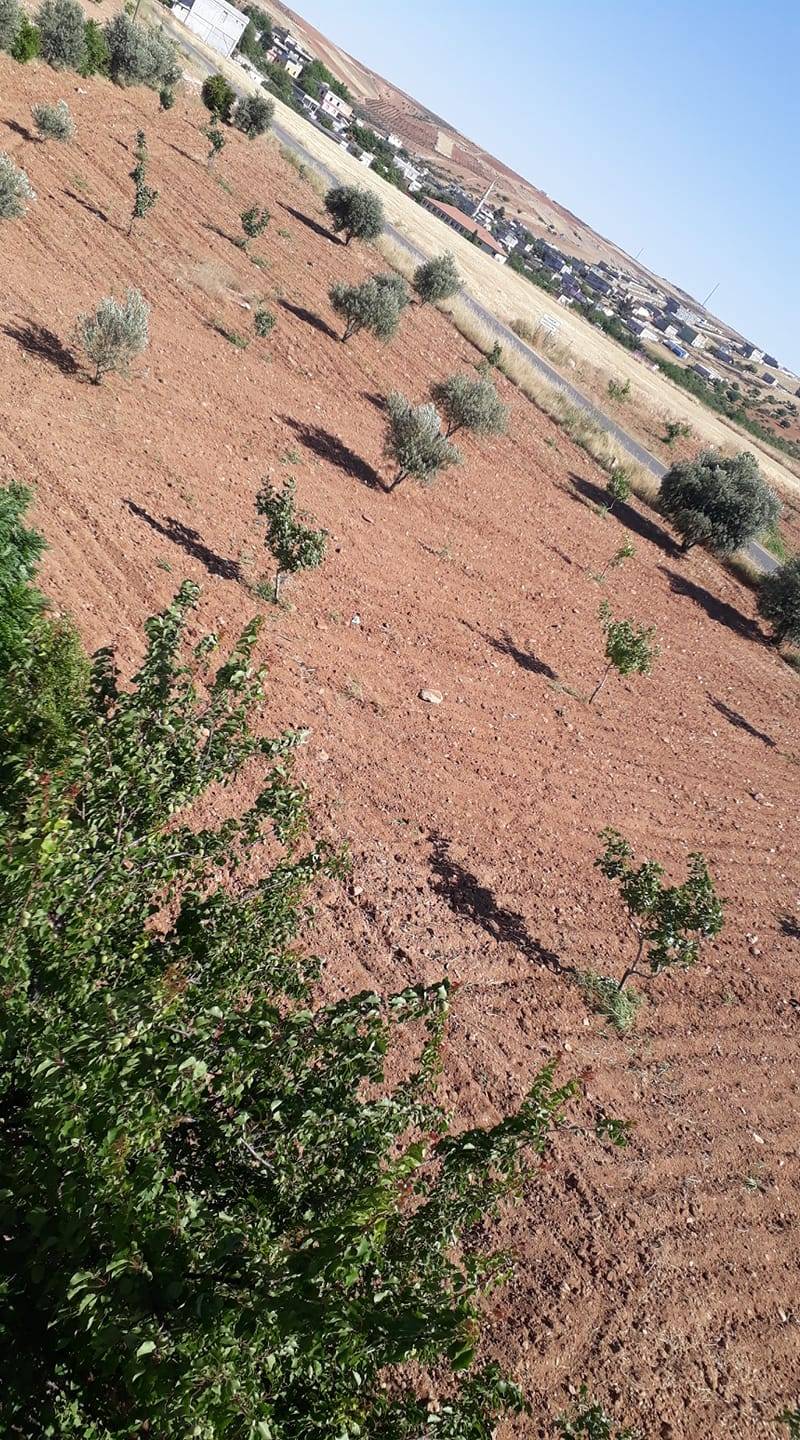 Birecik Ekenek Köyü  Resimleri 3