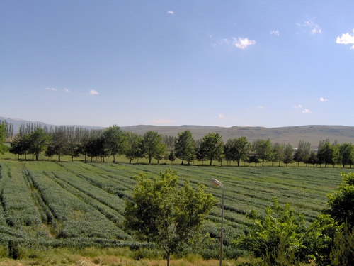 Aziziye Ömertepe Köyü Resimleri 2