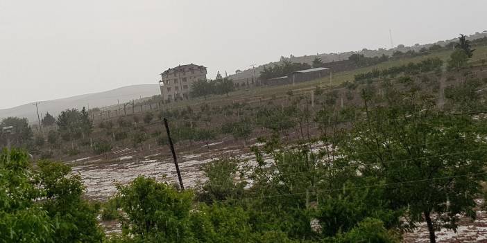 Birecik Konakköy Köyü Resimleri