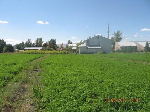 Aziziye Özbilen Köyü Resimleri 2