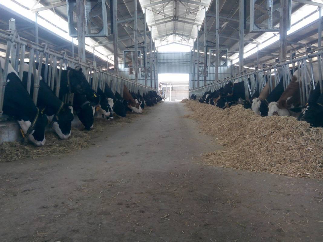 Birecik Surtepe Köyü Resimleri 1