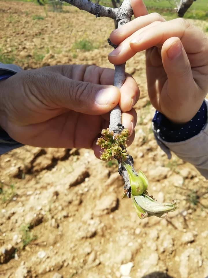 Birecik Şekerköy Köyü Resimleri 3