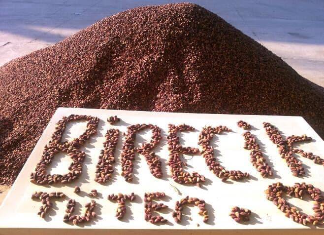 Birecik Tüten Köyü Resimleri 4