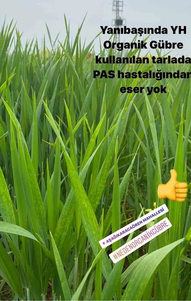 Birecik Yukarıhabib Köyü Resimleri 3