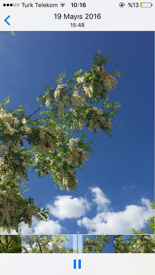 Birecik Yukarıkarabaş Köyü Resimleri 1