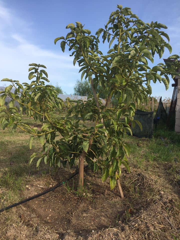 Birecik Yukarıkarabaş Köyü Resimleri 3