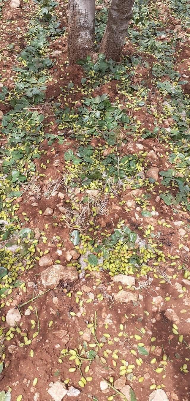 Bozova Baltaş Köyü Resimleri 1