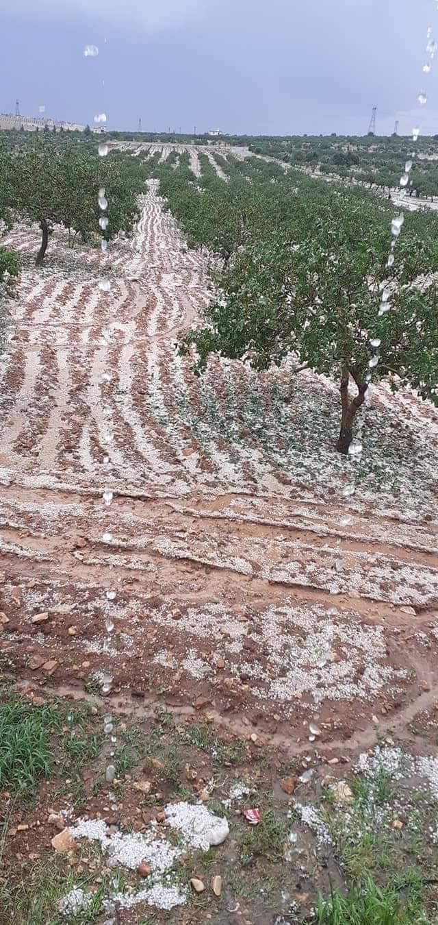 Bozova Baltaş Köyü Resimleri 4