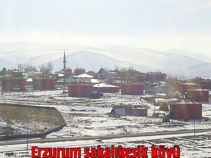 Aziziye Sakalıkesik Köyü Resimleri 5