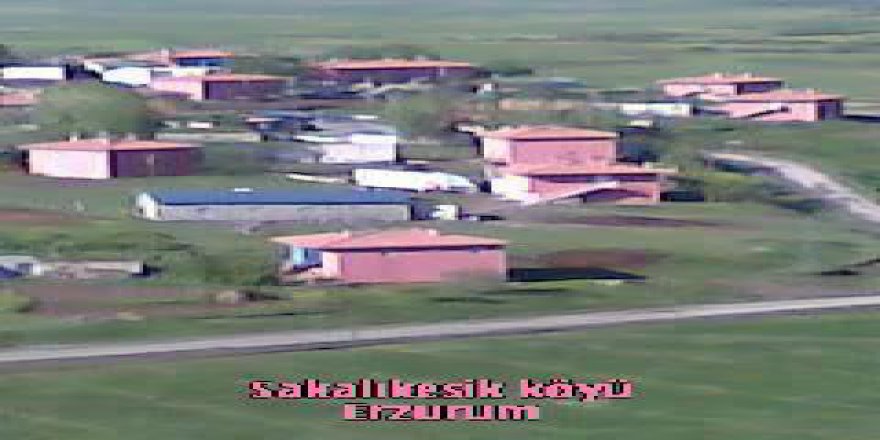 Aziziye Sakalıkesik Köyü Resimleri