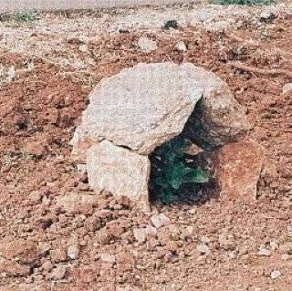 Bozova Bulancak Köyü Resimleri 1