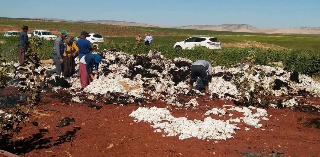 Bozova Deliler Köyü  Resimleri 2