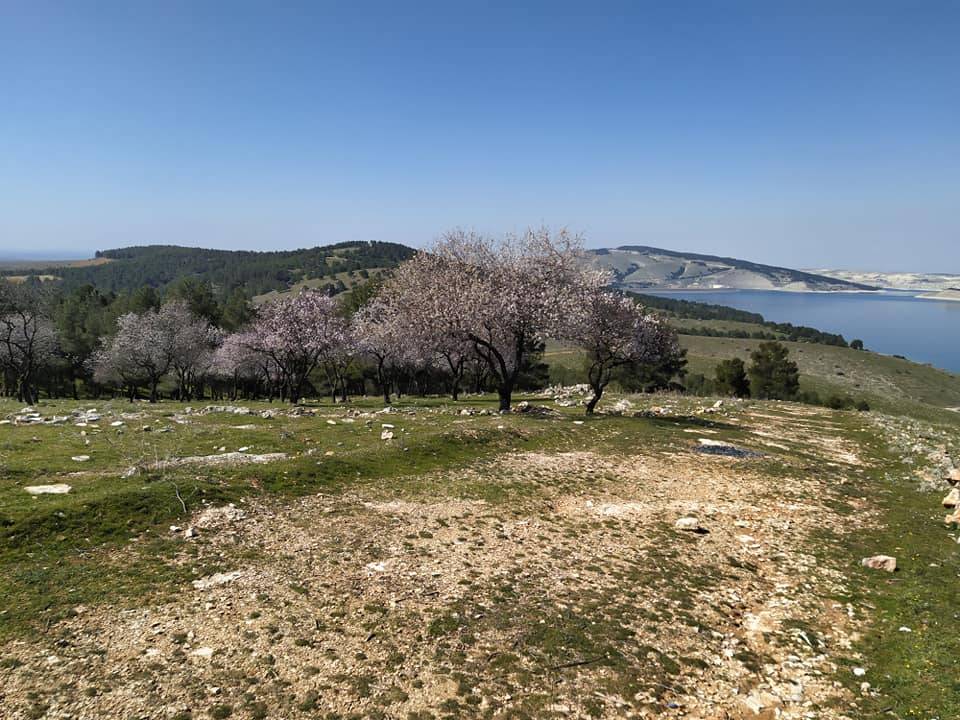 Bozova Dutluca  Köyü Resimleri 1