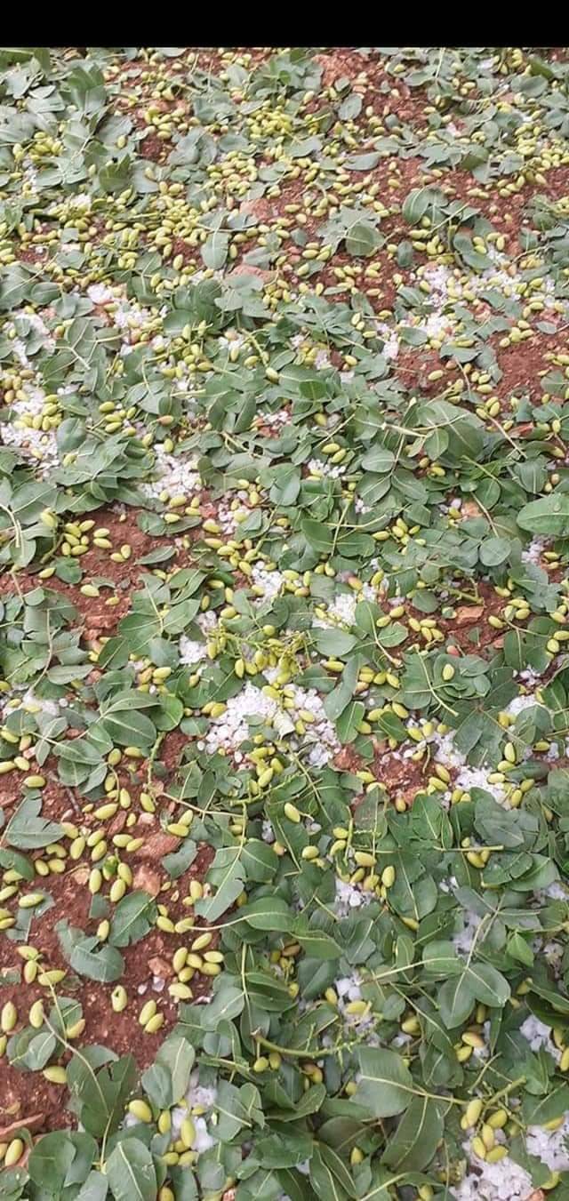 Bozova Dutluk Köyü Resimleri 3