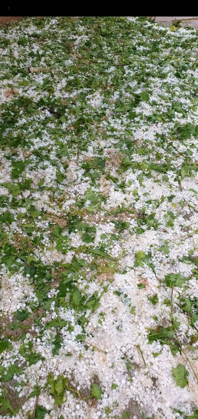 Bozova Dutluk Köyü Resimleri 4