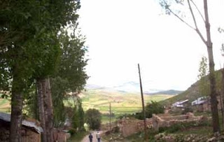Aziziye Sarıyayla Köyü Resimleri 4