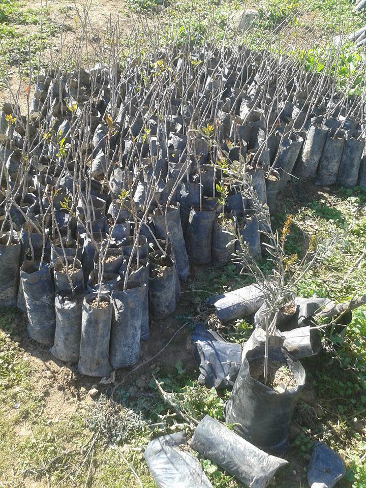 Bozova Gözenek Köyü Resimleri 1