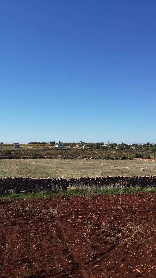 Bozova Gözenek Köyü Resimleri 2