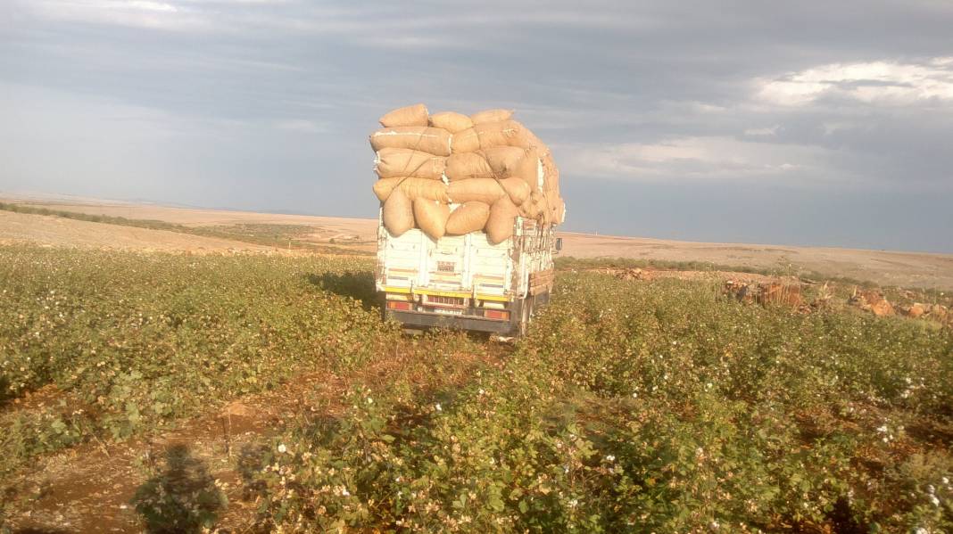 Bozova Hacıköy Köyü Resimleri 2