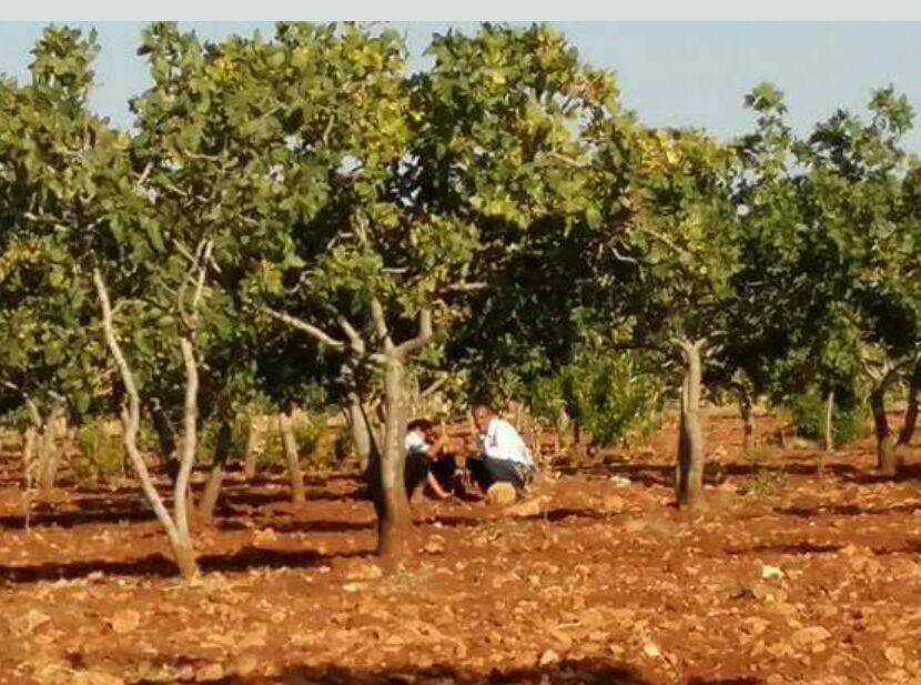 Bozova Kacarsallıcası Köyü Resimleri 1