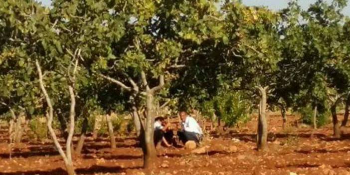 Bozova Kacarsallıcası Köyü Resimleri