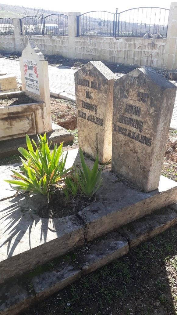 Bozova Karakaş Köyü Resimleri 1