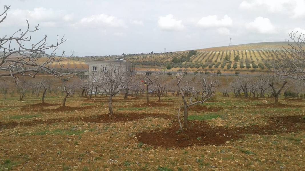 Bozova Kesmetaş Köyü Resimleri 2