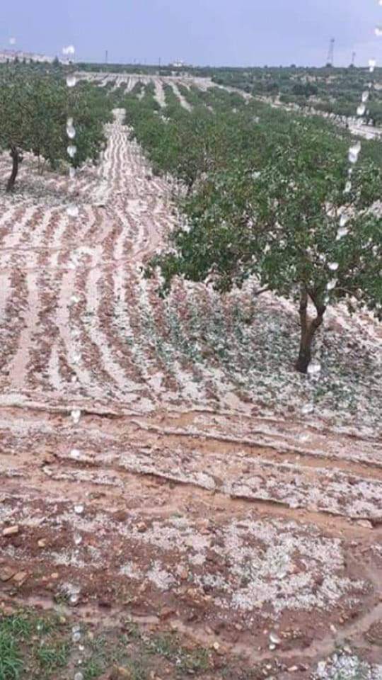 Bozova Kesmetaş Köyü Resimleri 3