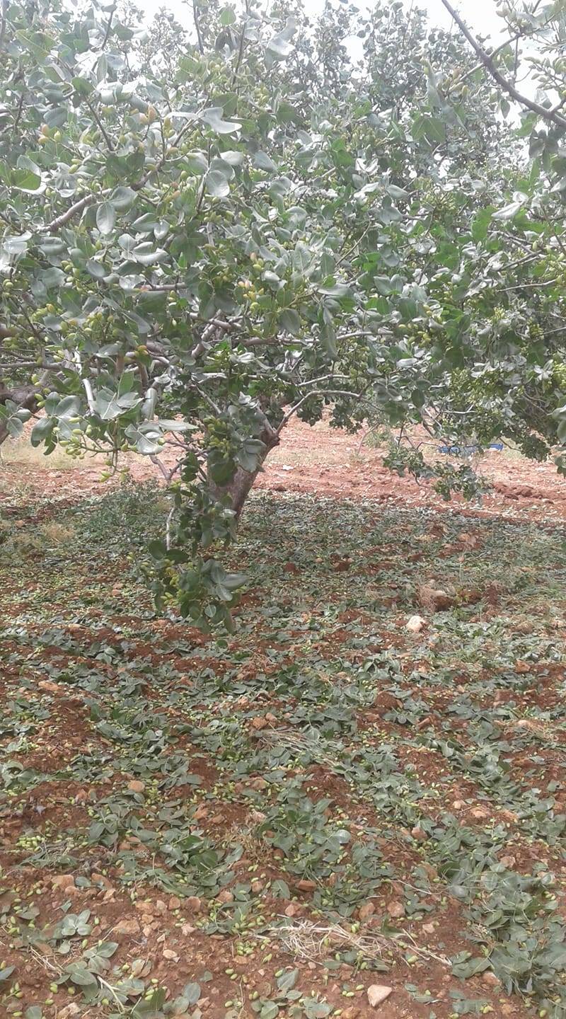 Bozova Kesmetaş Köyü Resimleri 4