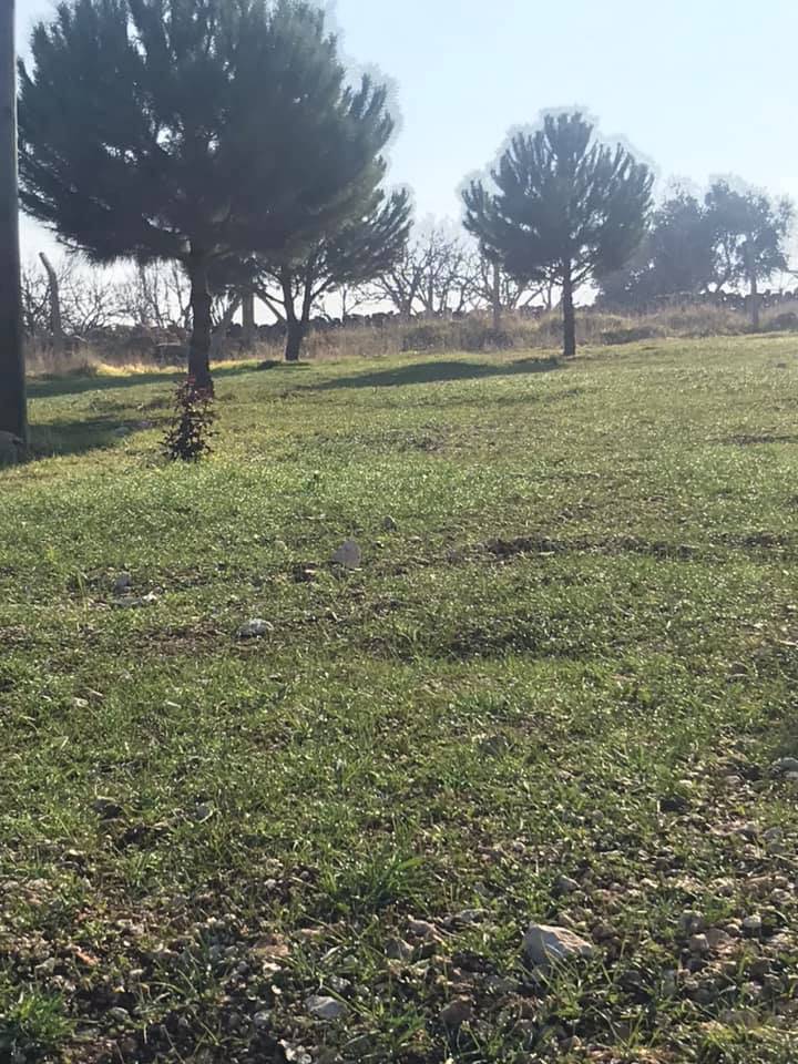 Bozova Koçhisar Köyü Resimleri 1