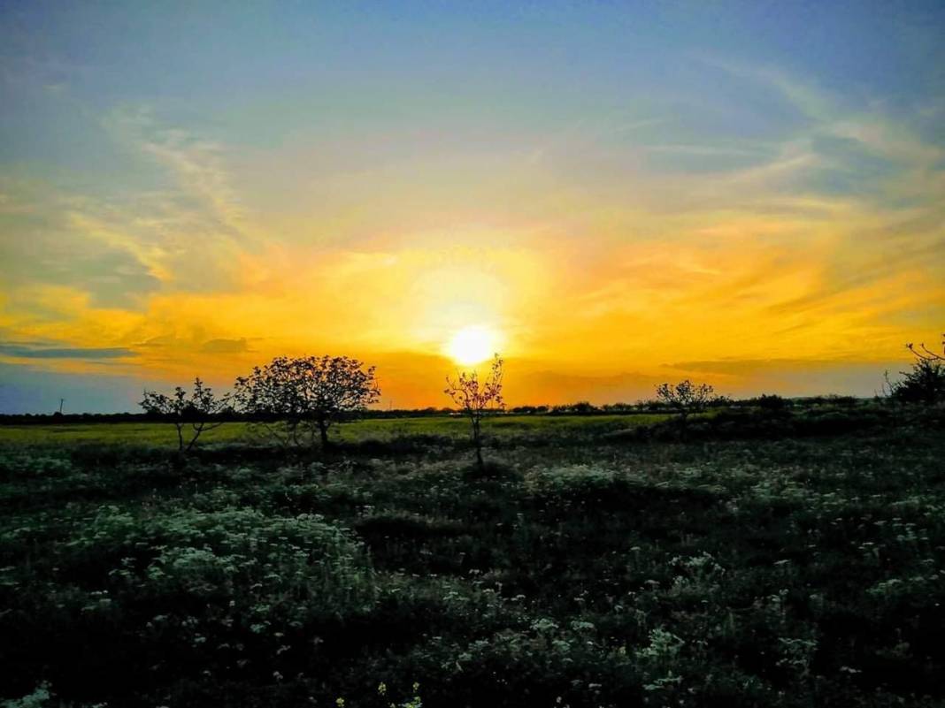 Bozova Koçveran Köyü Resimleri 1