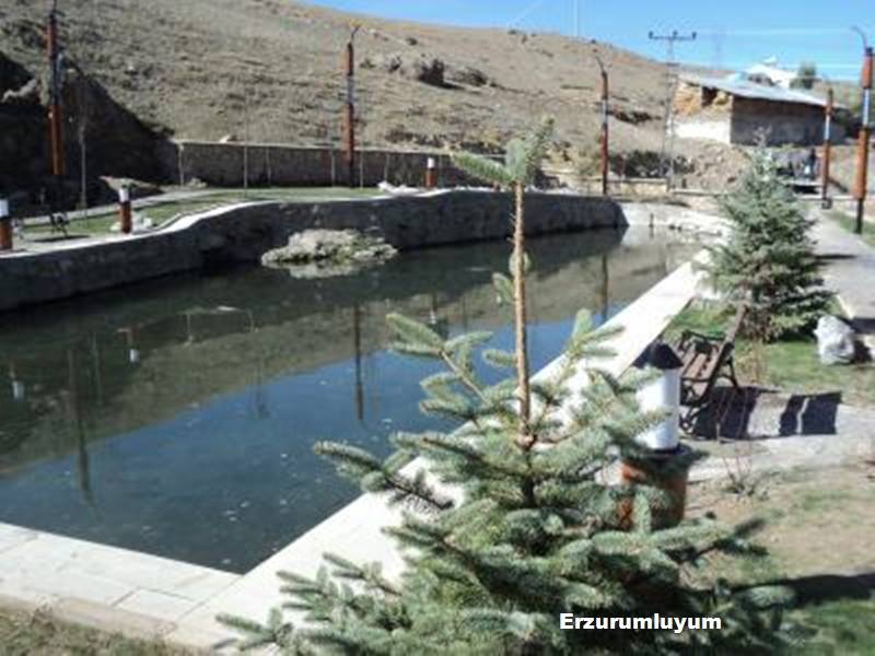 Aziziye Söğütlü Köyü Resimleri 1