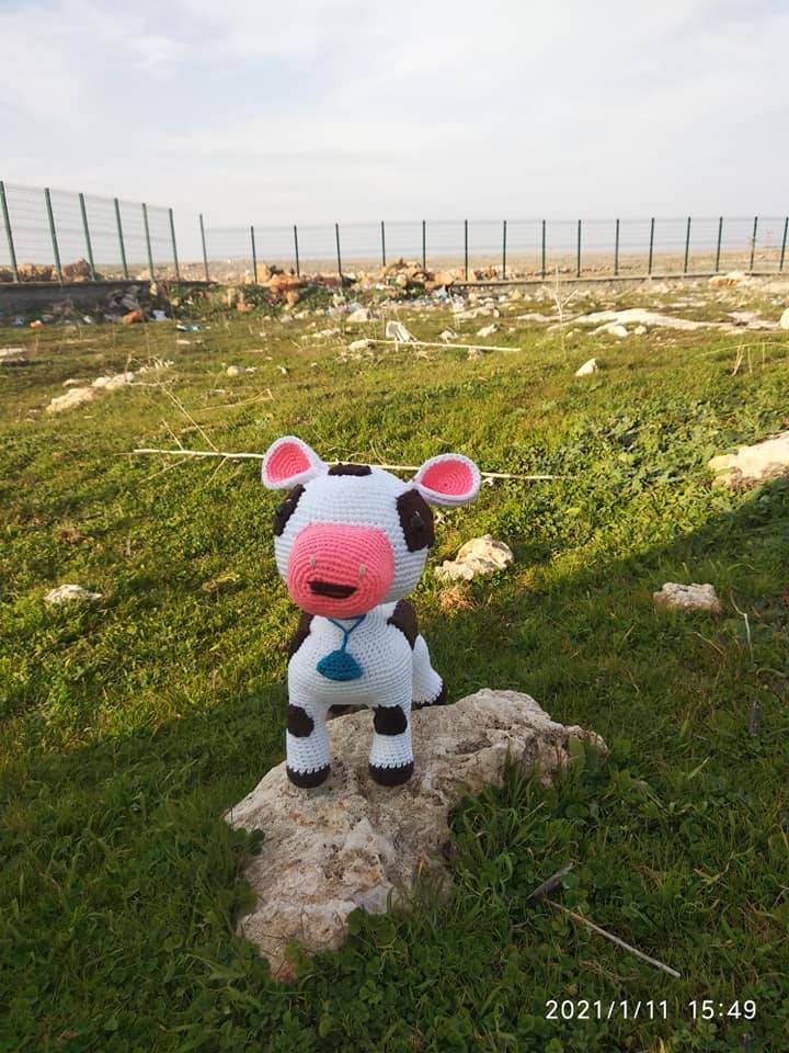 Bozova Örgülü Köyü Resimleri 5