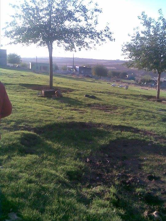 Bozova Özgören Köyü Resimleri 2