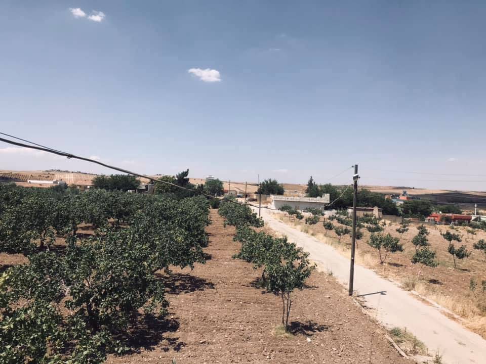 Bozova Pirhalil Köyü Resimleri 2